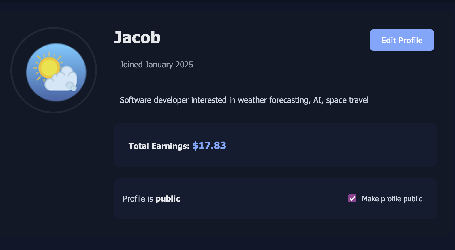 Developer Profile Interface